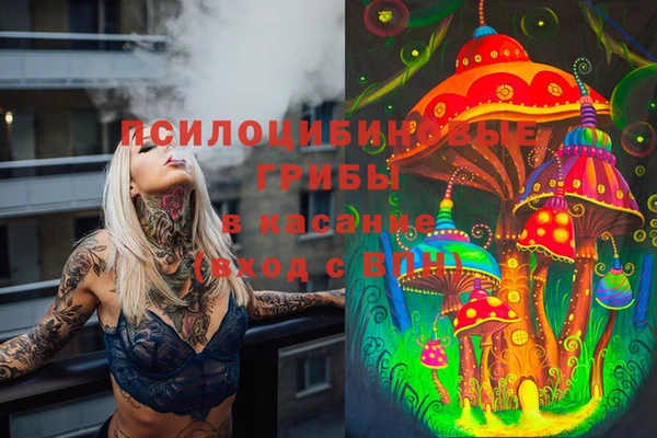 спиды Алзамай