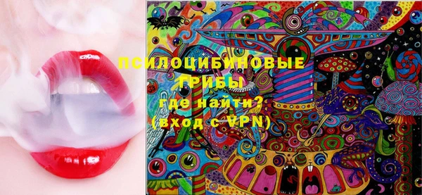 прущая мука Абаза