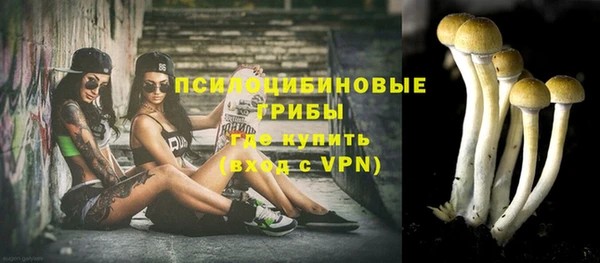 мяу мяу мука Абдулино