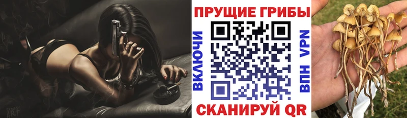 ОМГ ОМГ   Полтавская  Галлюциногенные грибы Magic Shrooms  купить закладку 